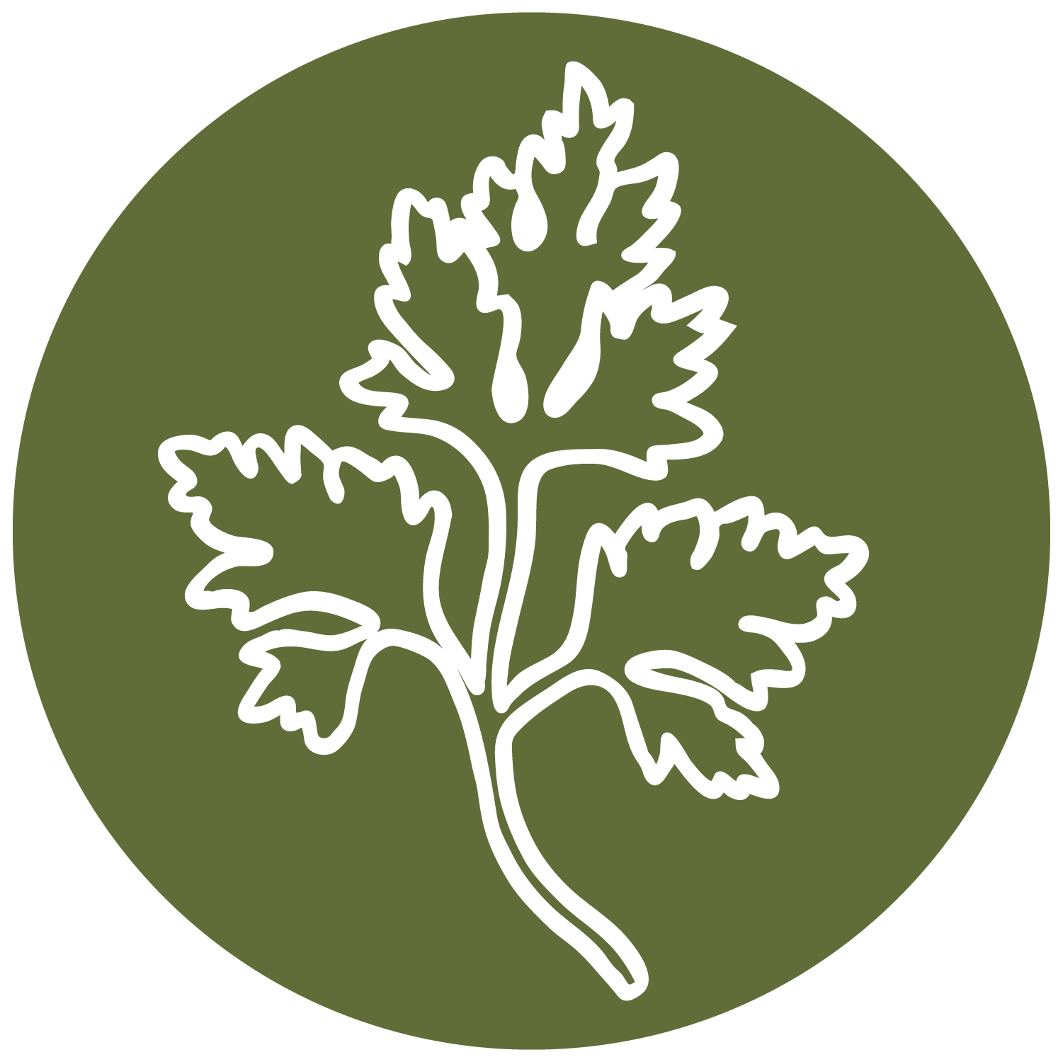 nos graines aromatiques