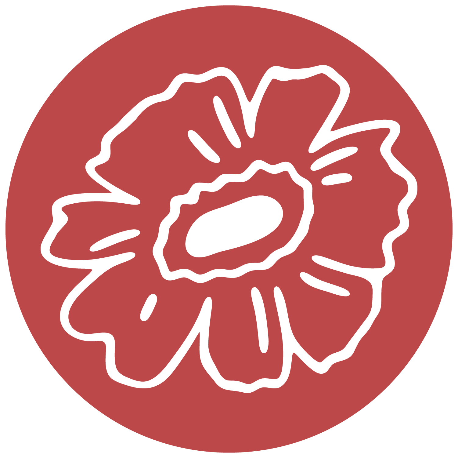 nos graines florales