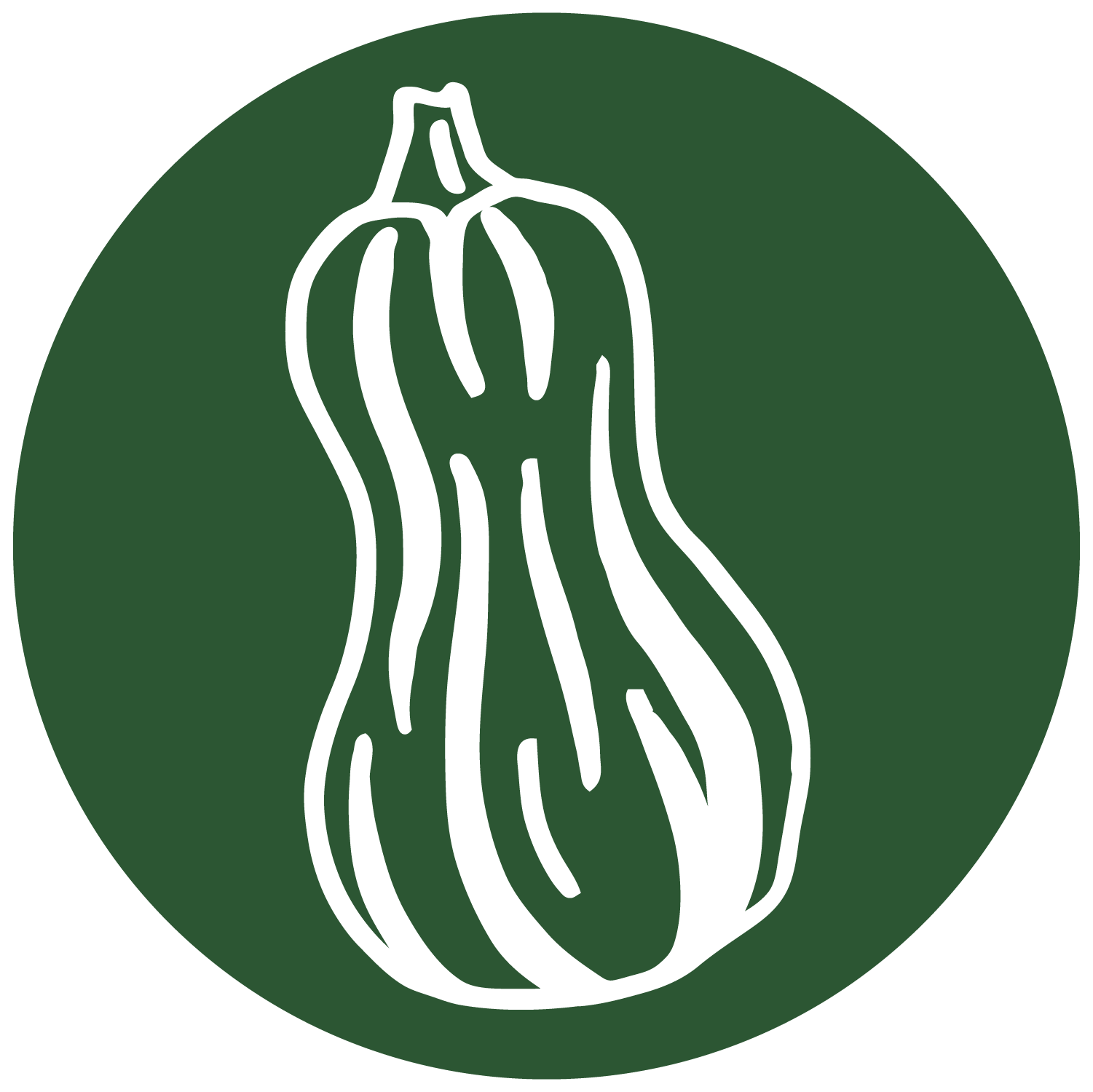 nos graines potagères